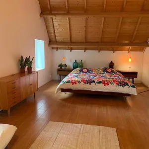 Bed & Breakfast Tanti Baci!, Maastricht